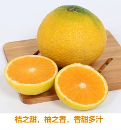仅售68元包邮 会昌新鲜甜橘柚10斤精品礼盒装 12 15个 甜桔柚 柚子 桔子甜柚