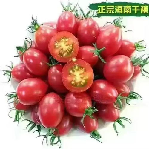 新鲜美味,看这里