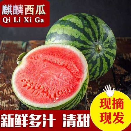 新鲜水果无籽麒麟西瓜脆甜爽口沙地超甜浙江蜜童西瓜包邮